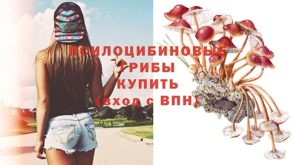 синтетический гашиш Саяногорск