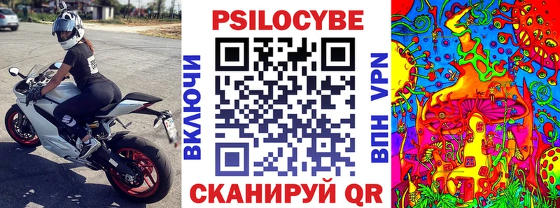 Псилоцибиновые грибы Psilocybe Киржач